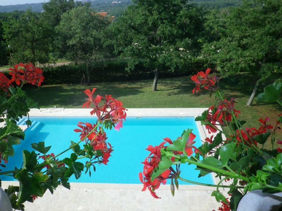 Hotel Pansion Oliva Krnica Esterno foto